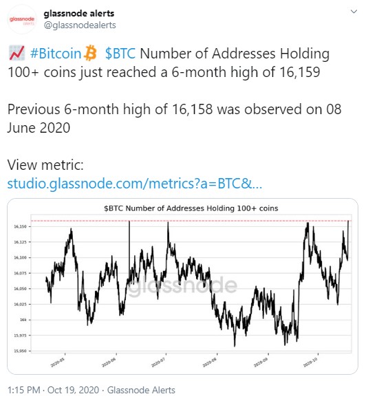 bitcoin wallet statistics